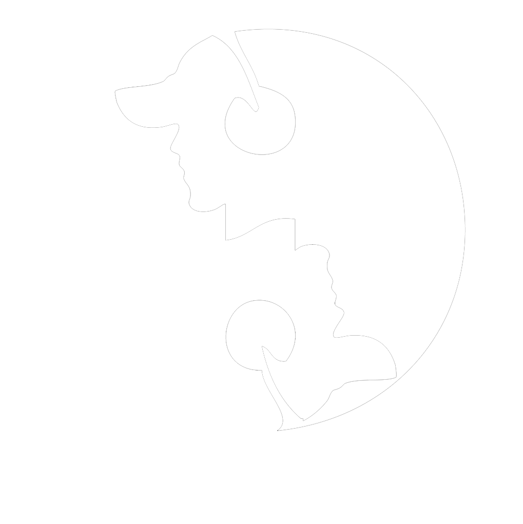 VDJ ZEN logo